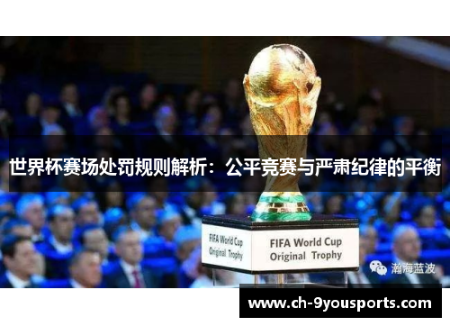 世界杯赛场处罚规则解析：公平竞赛与严肃纪律的平衡