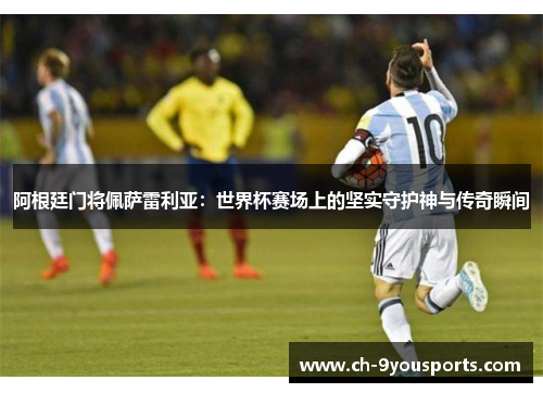 阿根廷门将佩萨雷利亚：世界杯赛场上的坚实守护神与传奇瞬间
