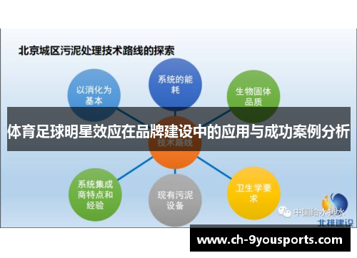 体育足球明星效应在品牌建设中的应用与成功案例分析