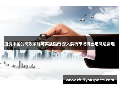 投资中国的高效策略与实战指南 深入解析市场机会与风险管理